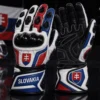 Custom Slovakia Racing Suit